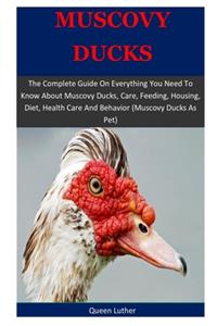 Muscovy Ducks