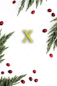 X