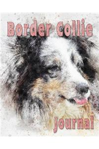 Border Collie Journal