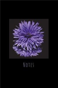 Notes