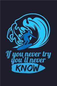 If You Never Try You'll Never Know