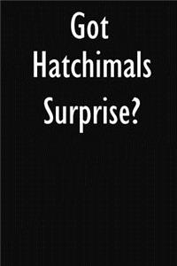 Got Hatchimals Surprise?