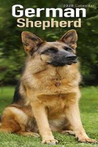 German Shepherd Slim Calendar 2020
