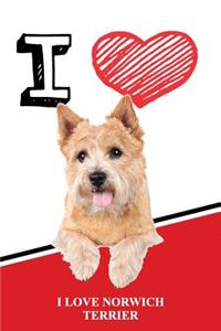 I Love Norwich Terriers