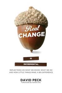 Real Change Is Incremental: Reflections on What We Know, What We Do and How Little Things Make a Big Difference