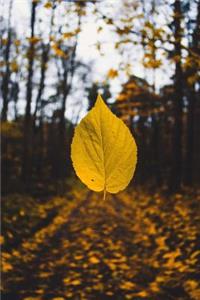 An Autumn Yellow Leaf Floating in the Air Journal
