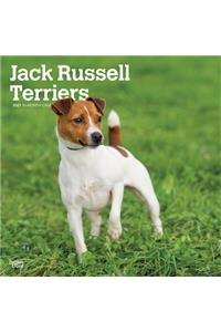 Jack Russell Terriers International Edition 2021 Square Btuk