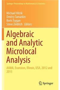 Algebraic and Analytic Microlocal Analysis