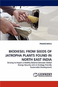 Biodiesel from Seeds of Jatropha Plants Found in North East India