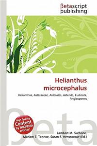 Helianthus Microcephalus