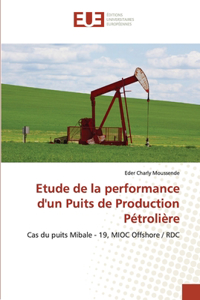 Etude de la performance d'un Puits de Production Pétrolière