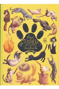 Breve Gatopedia Ilustrada