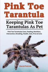 Pink Toe Tarantula