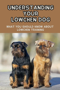 Understanding Your Lowchen Dog