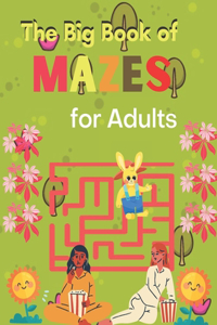 Big Book of mazes for adults