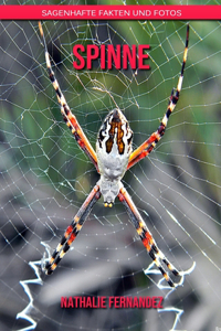 Spinne