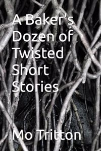 Baker's Dozen of Twisted Short Stories