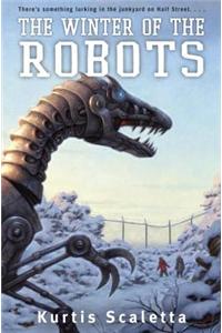 The Winter of the Robots