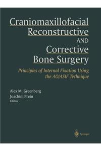 Craniomaxillofacial Reconstructive and Corrective Bone Surgery: Principles of Internal Fixation Using Ao/Asif Technique