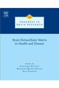 Brain Extracellular Matrix in Health and Disease