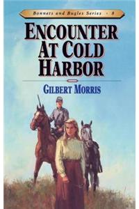Encounter at Cold Harbor