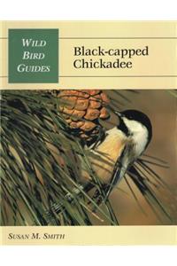 Black-Capped Chickadee
