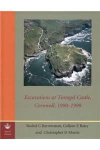 Excavations at Tintagel Castle, Cornwall, 1990-1999