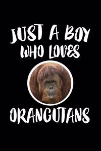 Just A Boy Who Loves Orangutans