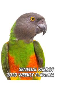 Senegal Parrot 2020 Weekly Planner