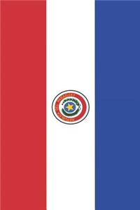Paraguay Flag Journal