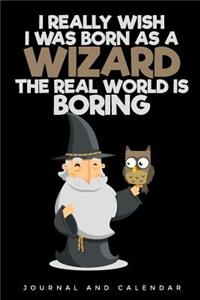 I Really Wish I Was Born as a Wizard the Real World Is Boring