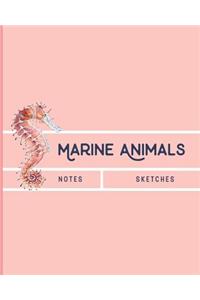 Marine Animals Notes & Sketches