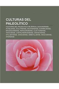 Culturas del Paleolitico