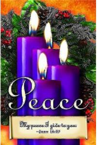 Advent Sunday 4 Purple Bulletin (Pkg of 50)