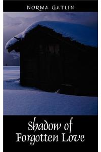 Shadow of Forgotten Love