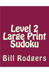 Level 2 Large Print Sudoku