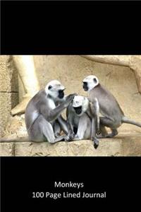 Monkeys