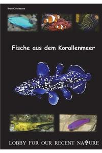 Fische Aus Dem Korallenmeer