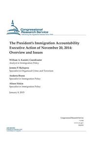 The President's Immigration Accountability Executive Action of November 20, 2014