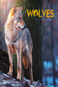 Wolves Square Mini Calendar 2025