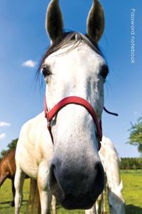 Password Notebook: Large Internet Address and Password Logbook / Journal / Diary - Curious Horse Cover