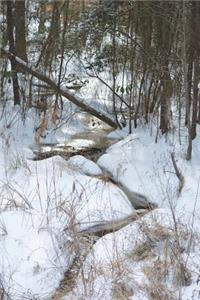 Snowy Creek in the Mountains Journal