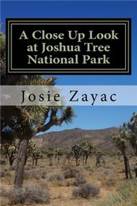 Close Up Look at Joshua Tree National Park