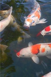 Koi Fish Journal