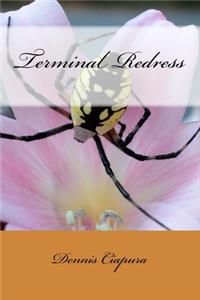 Terminal Redress