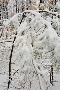 Journal Pretty Winter Photography