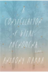 A Constellation of Vital Phenomena