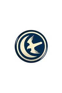 Game of Thrones Arryn Magnet