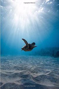 Sea Turtle Journal