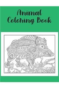 Animal Coloring Book